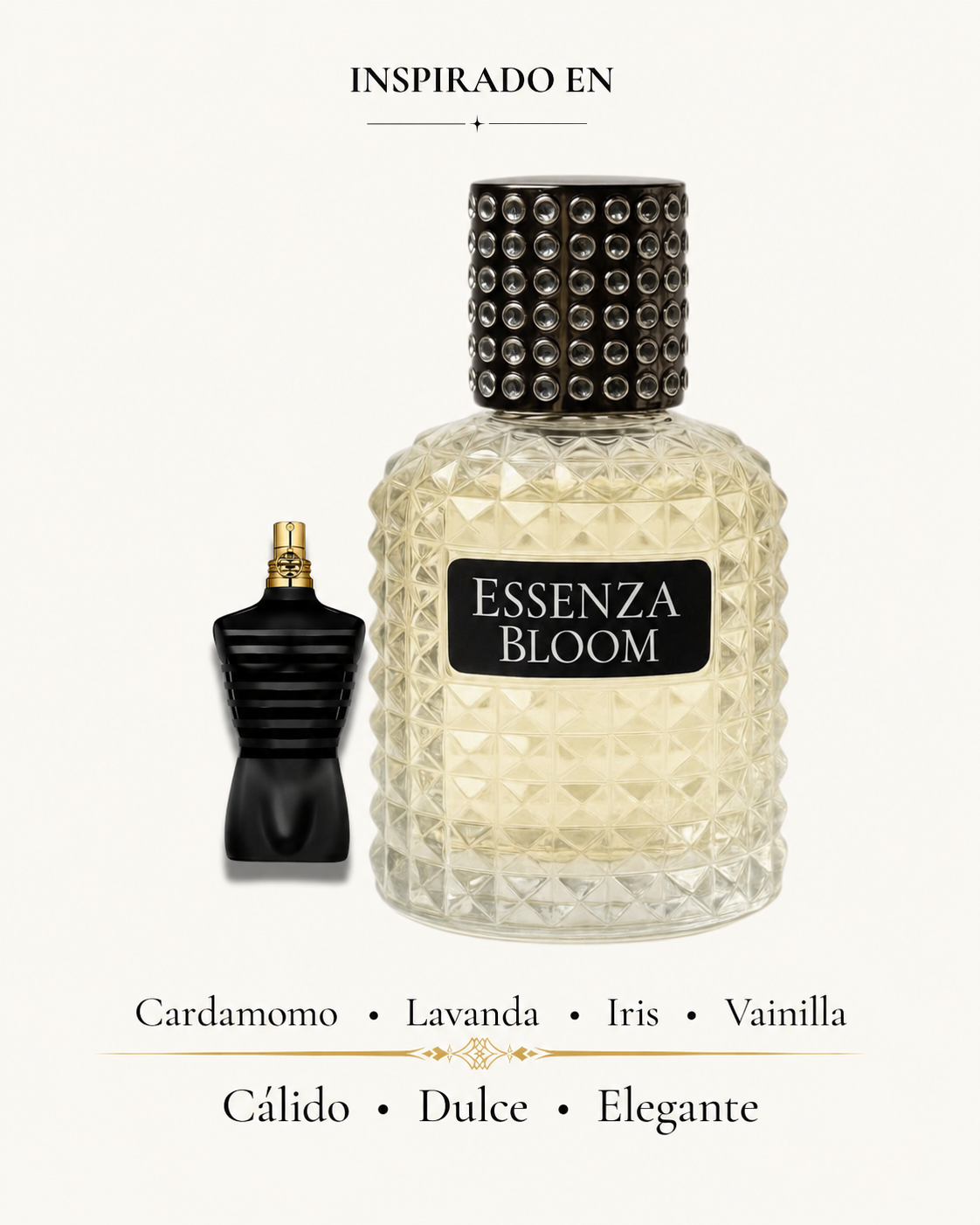 Capitán Noir de Essenza Bloom junto al frasco negro y dorado de Le Male Le Parfum. Cardamomo, lavanda, iris y vainilla.